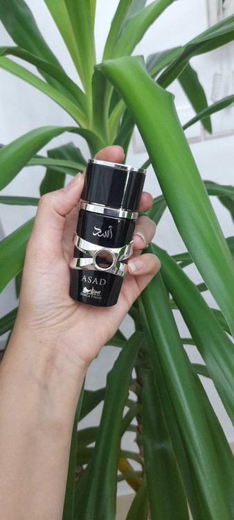 ادکلن مردانه اسد حجم ۲۵میل