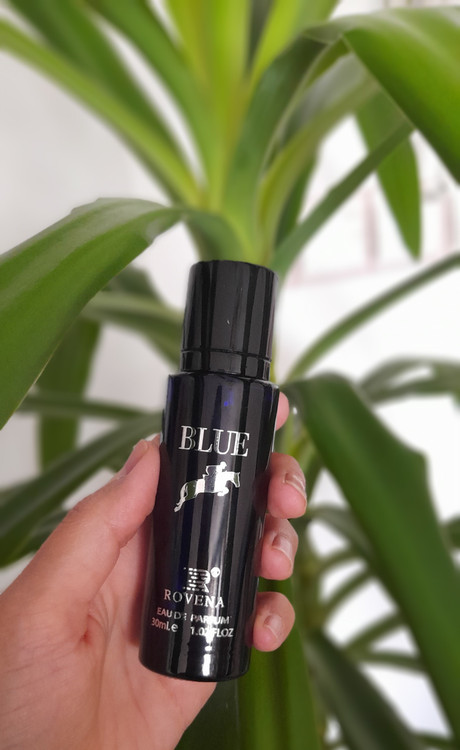 ادکلن مردانه پلو آبی برند روونا