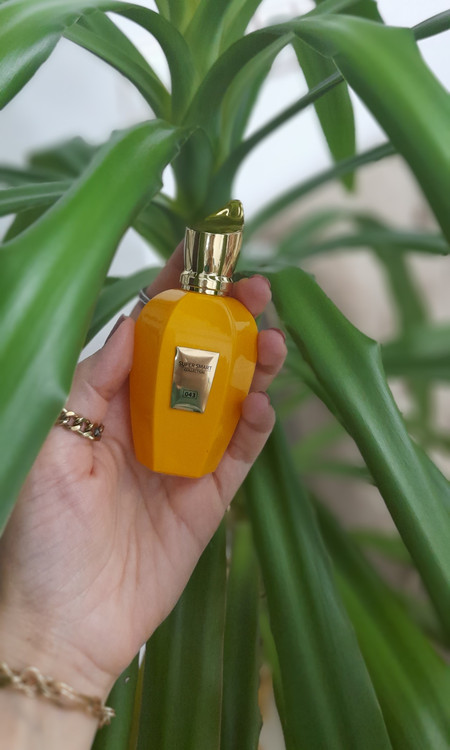 ادکلن یونیسکس کازاموراتی زرجف اربا گلد برند سوپراسمارت