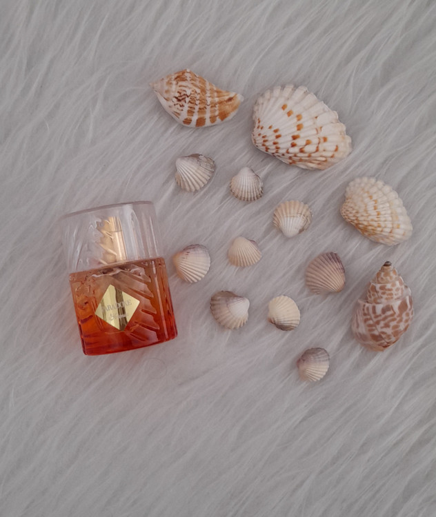 ادکلن زنانه پرادا پارادوکس برند آرتمیوس