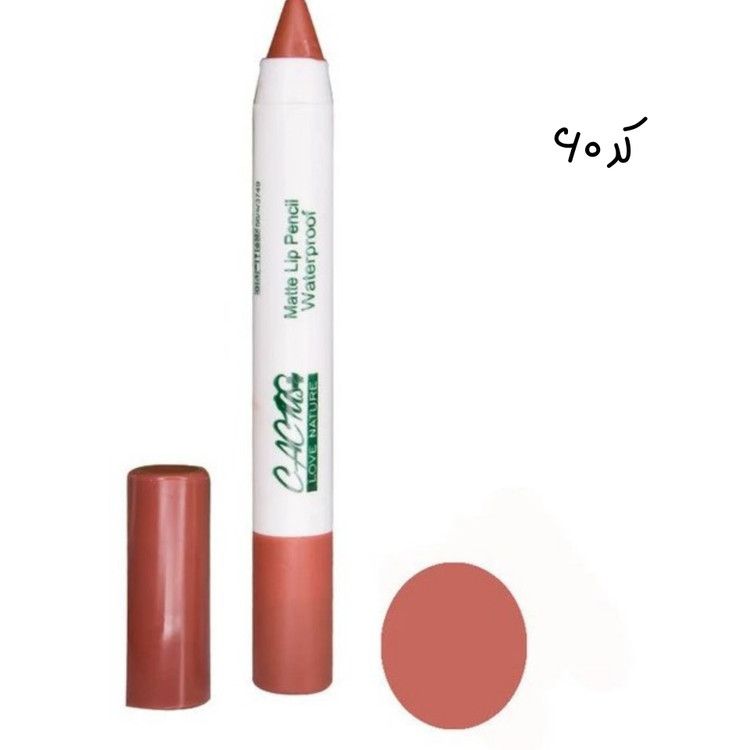 رژ لب مدادی کاکتوس